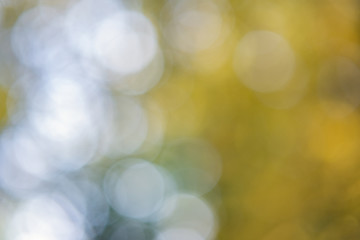Bright colorful green and yellow background. Blurred light bokeh circles in autumn forest.