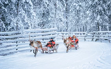 Foto auf Alu-Dibond Racing on Reindeer sledding in Finland © Roman Babakin