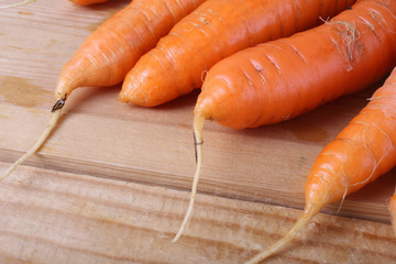 Carrots harvest