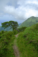 panoramic view on the vulcano on montagne pelée with clowd and  Martinique Sea