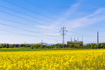 Gelbes Rapsfeld vor dem Industriepark Frankfurt-Höchst bei Kelsterbach