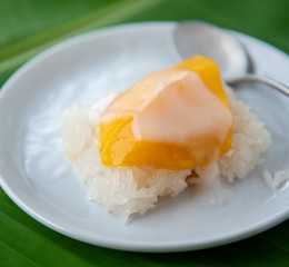Ripe Mango with sweet sticky rice pour coconut milk in a white dish on a banana leaf. popular Thai dessert.