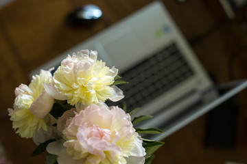 Bouquet of white peonies near the working area. Workplace of freelancer with flower near the computer. PC workplace. Enjoy working at home. Lifestyle moment.