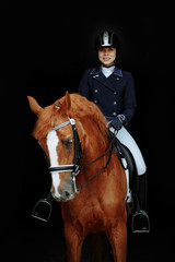 Portrait of a red dressage horse and young woman on black background. Girl with horse. Equestrian...