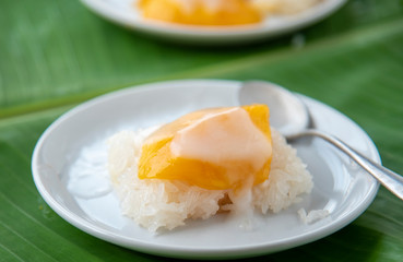 Ripe Mango with sweet sticky rice pour coconut milk in a white dish on a banana leaf. popular Thai dessert.