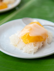 Ripe Mango with sweet sticky rice pour coconut milk in a white dish on a banana leaf. popular Thai dessert.