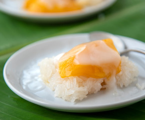 Ripe Mango with sweet sticky rice pour coconut milk in a white dish on a banana leaf. popular Thai dessert.