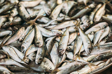 Fresh Fish On Display On Ice On Fishermen Market Store Shop. Seafood Fish Background. European Anchovy