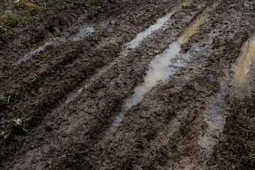 wheel tracks in the mud on an abandoned road
