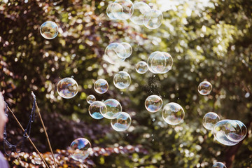 soap bubbles in a park flying in the sky