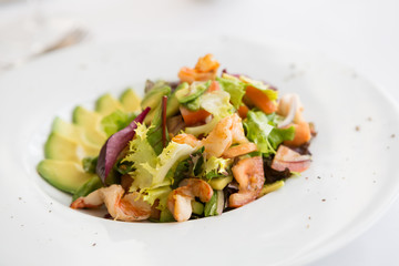 Avocado and shrimp salad in a white bowl plate