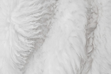 Obraz premium White fur background, light wool texture