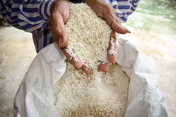Rice products produced by farmers are. Hand holding rice. .