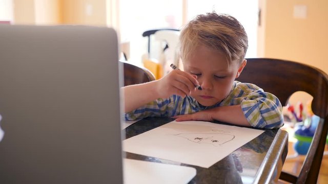 Little Boy Drawing While Using A Laptop. Hand held close up video as little boy is looking to the laptop and draws a picture with the pencil. 