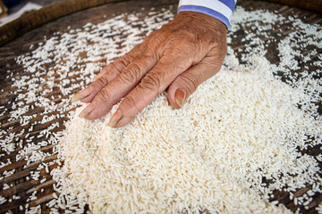 Rice products produced by farmers are. Hand holding rice. .