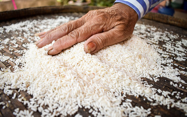 Rice products produced by farmers are. Hand holding rice. .