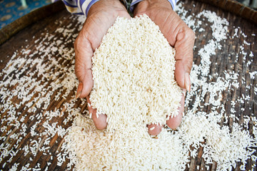 Rice products produced by farmers are. Hand holding rice. .