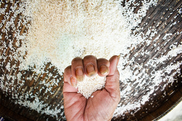 Rice products produced by farmers are. Hand holding rice. .