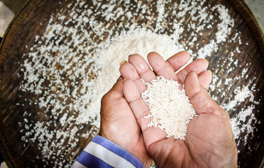 Rice products produced by farmers are. Hand holding rice. .