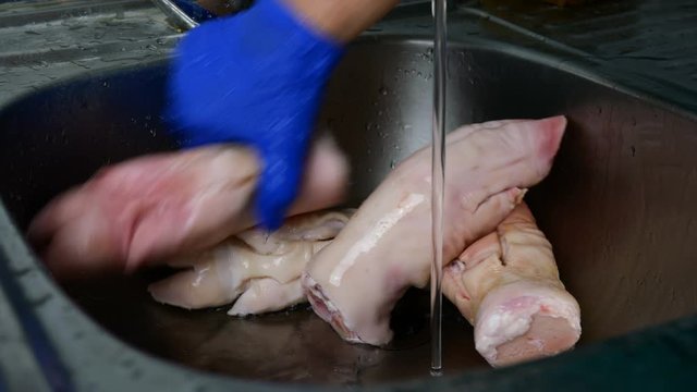 Preparation pork legs. Step by step. Human hands in rubber gloves thoroughly wash pig legs in kitchen sink under a stream of running water. Close-up.