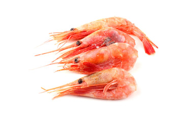 Shrimps