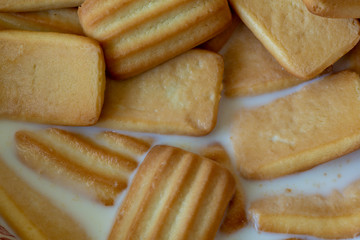 Top view of biscuits in milk