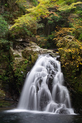 Fototapeta na wymiar Akame 48 Waterfall in Mie, Japan
