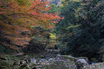 Akame 48 Waterfall in Mie, Japan