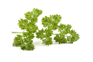 Fototapeta premium Parsley