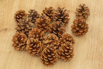 Top vieve pine cones background
