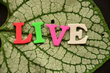 napis live © czany