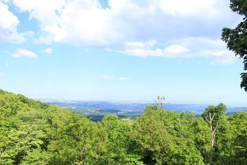 Fototapeta na wymiar 高尾山からの景色