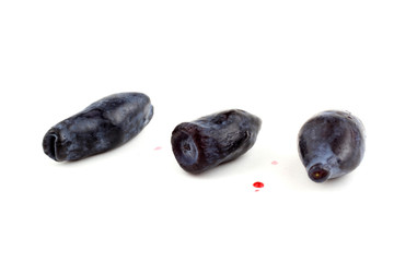 Honeysuckle berries