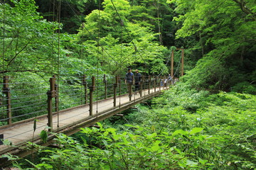 高尾山の吊り橋