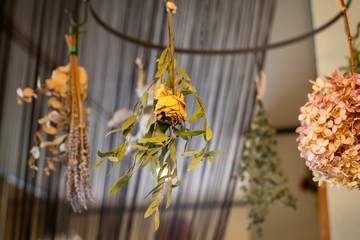 Focus on the handmade dried herbs hanging from the ceiling