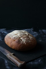 Homemade bread, whole wheat bread