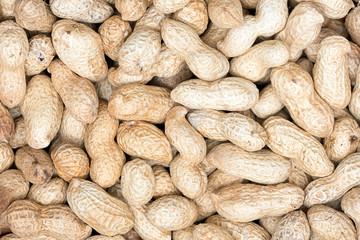 many raw peanuts in their shell texture