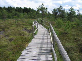 Schwarzes Moor Hochrhön und Weg mit Geländer