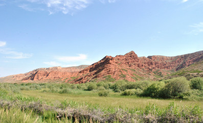 red mountains in summer green grass blue sky horizon nature recreation