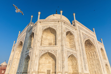 Fototapeta na wymiar Taj Mahal marble facade detailed view, India, Agra