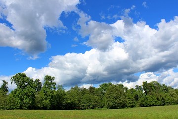 Fototapeta na wymiar Un prato e un bosco in una giornata di sole e nuvole