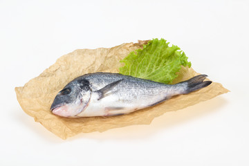 Raw Dorada fish  for cooking