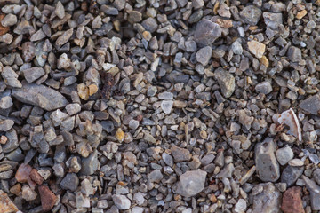 Rocks