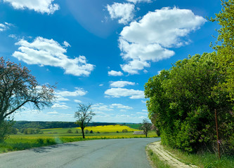 Bright beautiful summer landscape of the countryside, road and clouds. View of beautiful clouds and a blooming field with flowers in a meadow. Mobile photo
