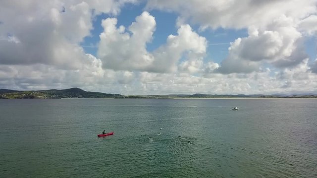 Aerial of swimmers off Ireland coastline.