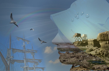Illustration autour d'un paysage marin et différents éléments