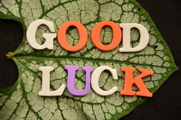 slowo good luck © czany