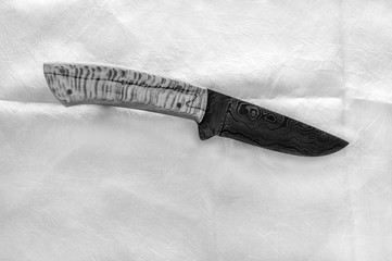 With the color removed, this damascus knife and wooden handle are displayed in simplicity and elegance on a white background. Bokeh. © Picunique