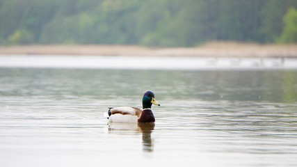 jezioro © Magorzata