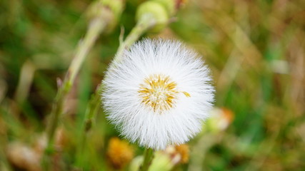 jezioro © Magorzata